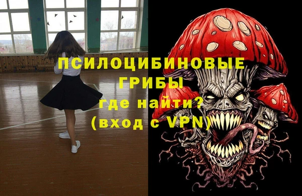 сатива Алексеевка
