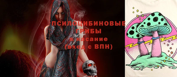скорость Алзамай