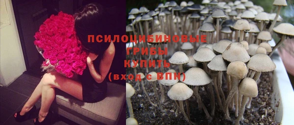 скорость Алзамай